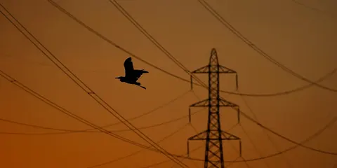 Удари по російських НПЗ і світовий ринок пального: що стоїть за заявою США