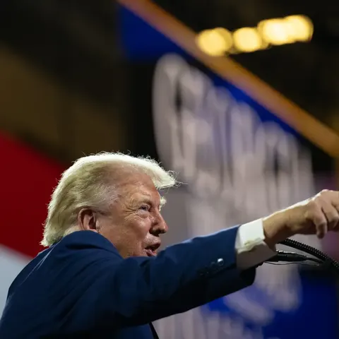 Трамп привітав AfD з перемогою: як зміна влади в Німеччині вплине на Європу