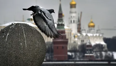 Кремль каже, що «передумов для миру» немає: як це читати після заяв Зеленського