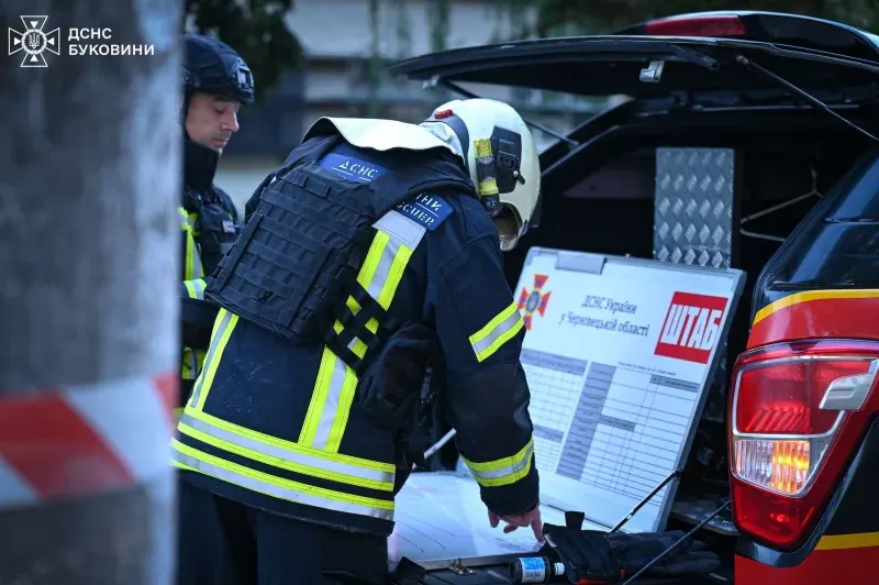Доба на Буковині: пожежа, небезпечні комахи та допомога рятувальників