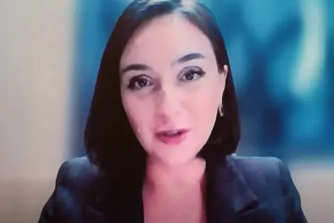 Мендель виступила в Європарламенті онлайн і закликала змінити стратегію війни